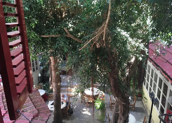 Kiniras Traditional & Restaurant