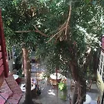 Kiniras Traditional & Restaurant